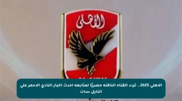 الأهلي 2025.. تردد القناة الناقلة حصريًا لمتابعة أحدث أخبار النادي الأحمر على النايل سات